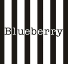 קידום אתר Blueberry